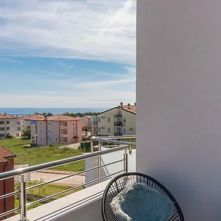 Belina Daire Novigrad Istria